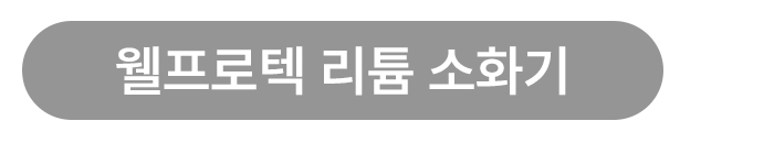 웰프로텍리튬소화기